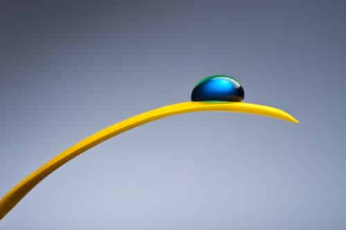 Blauer Tropfen auf gelbem Blütenblatt im Fotostudio