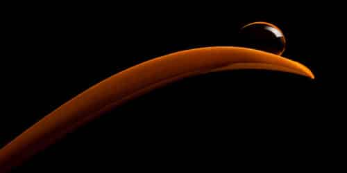 Fotografie Thomas Nentwich Wuppertal