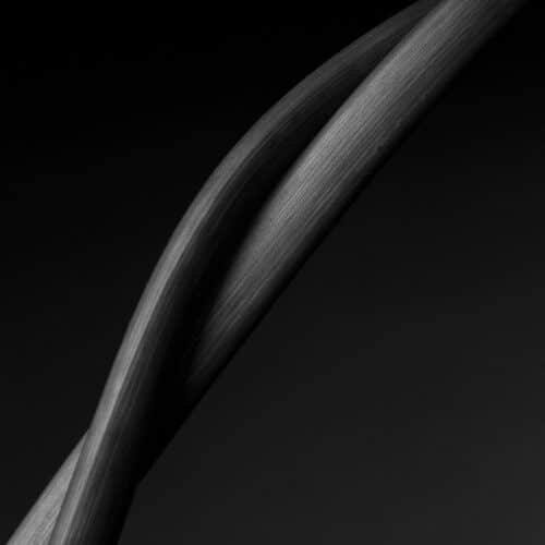 sich kreuzende Stengel zweier Kallas