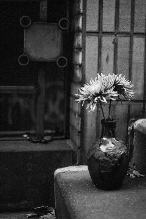 Stillleben-schwarz-weiss-1