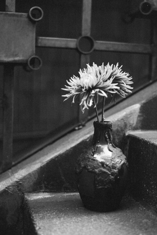 Stillleben-schwarz-weiss-2