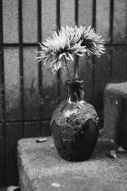 Stillleben-schwarz-weiss-3