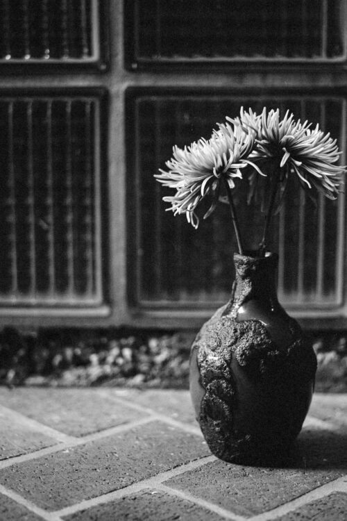 Stillleben-schwarz-weiss-4