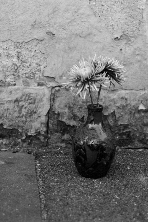 Stillleben-schwarz-weiss-5