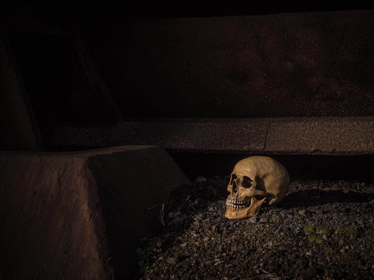 Vanitas-5 Vanitas stillleben