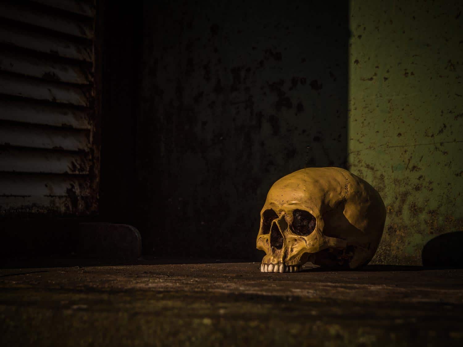 Vanitas-6 Vanitas stillleben